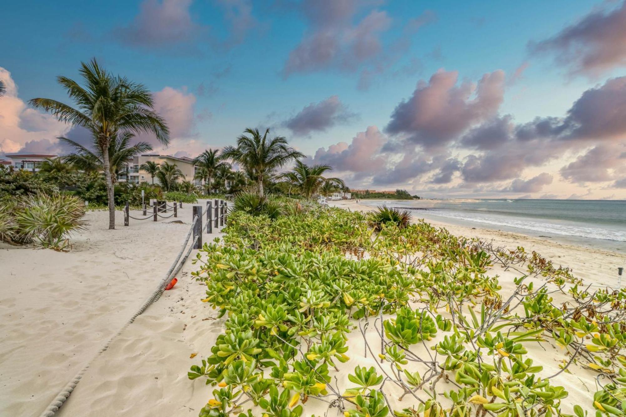 Apartamento Casa Altamar Penthouse Oceanfront 123 Norte @ Mareazul Beachfront *